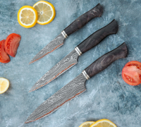 Набор кухонных ножей из ламинированной стали купить на сайте koval-knife.shop